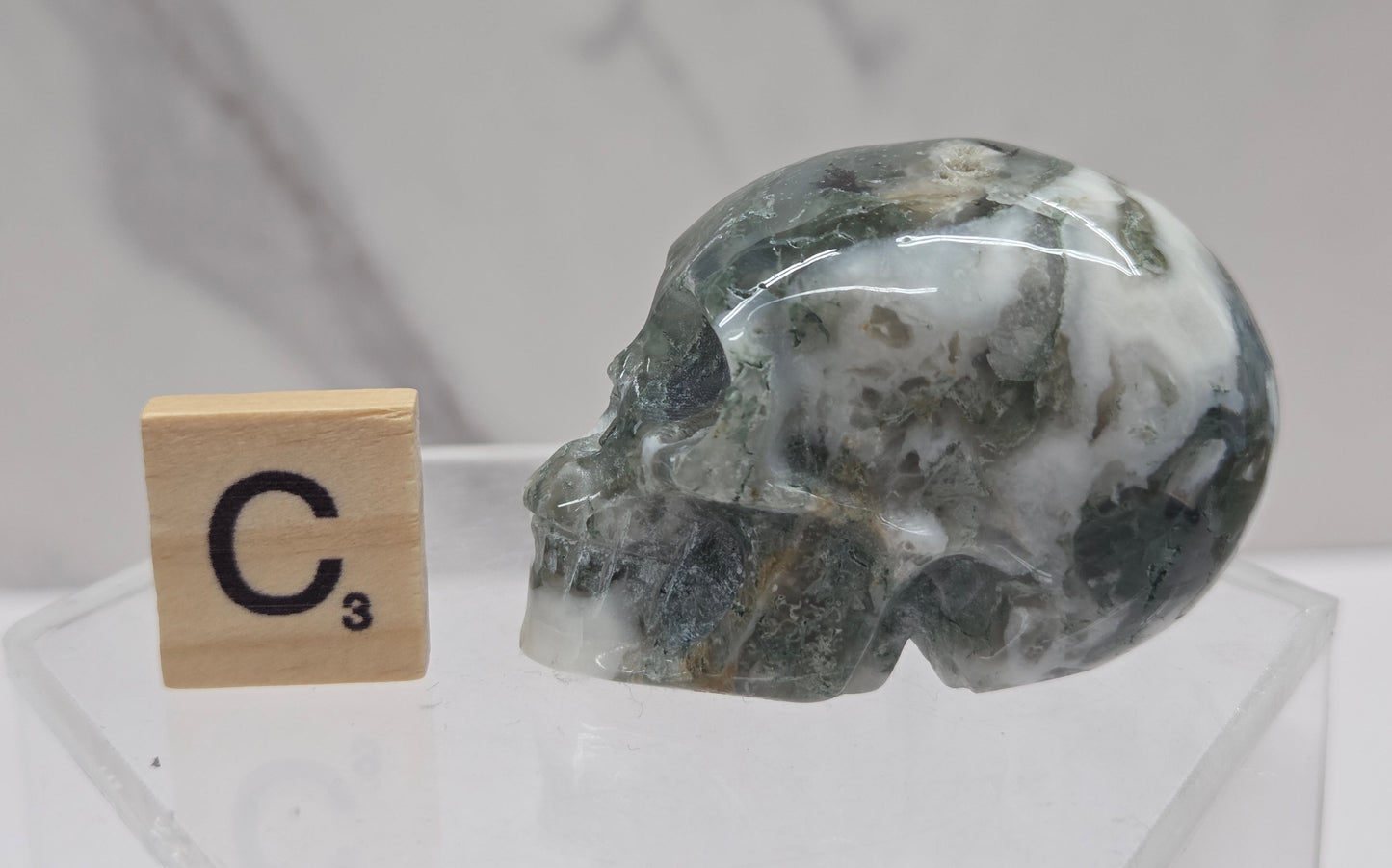 Moss Agate skull carving on a white background
