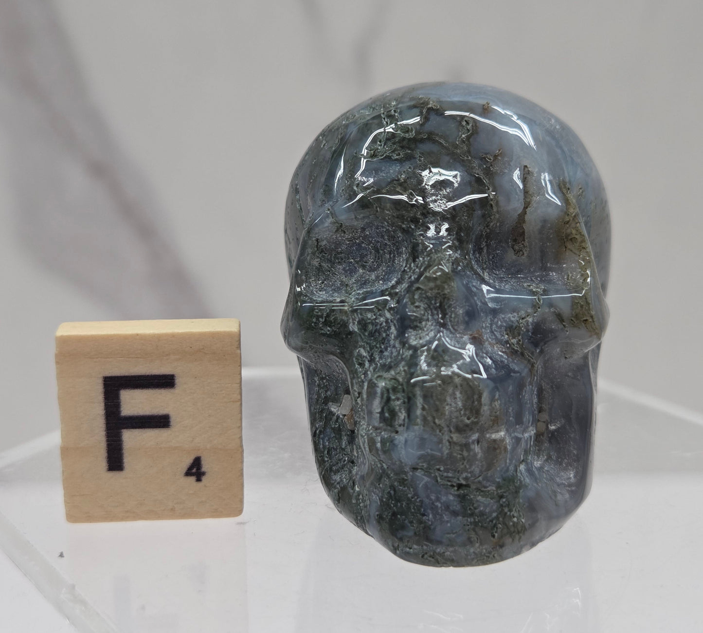 Moss Agate skull carving on a white background