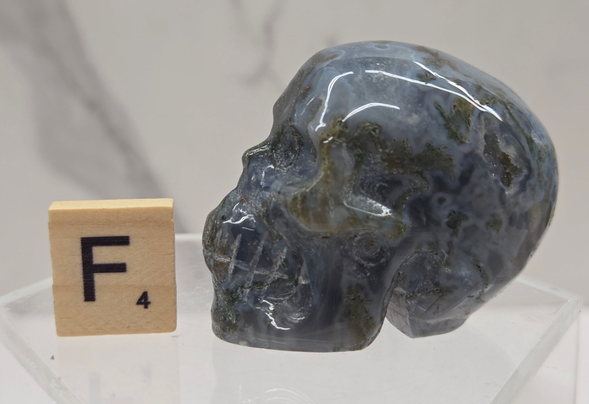 Moss Agate skull carving on a white background