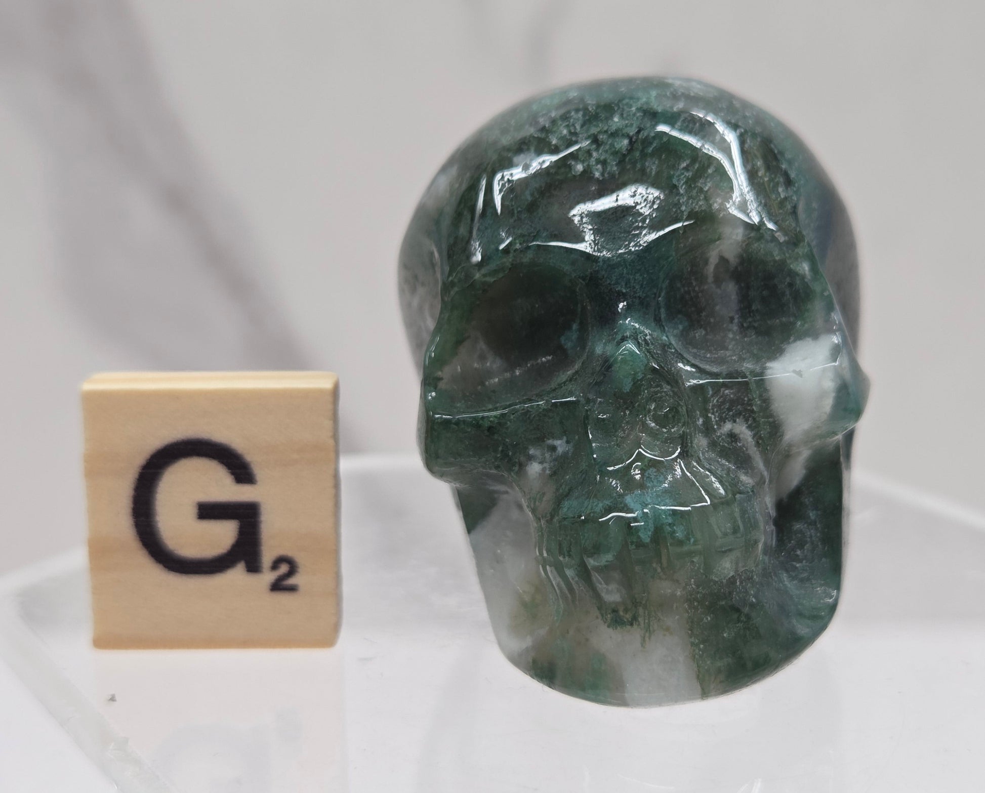 Moss Agate skull carving on a white background