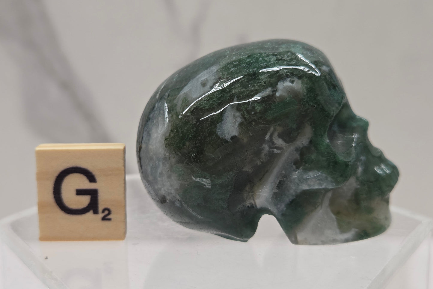 Moss Agate skull carving on a white background