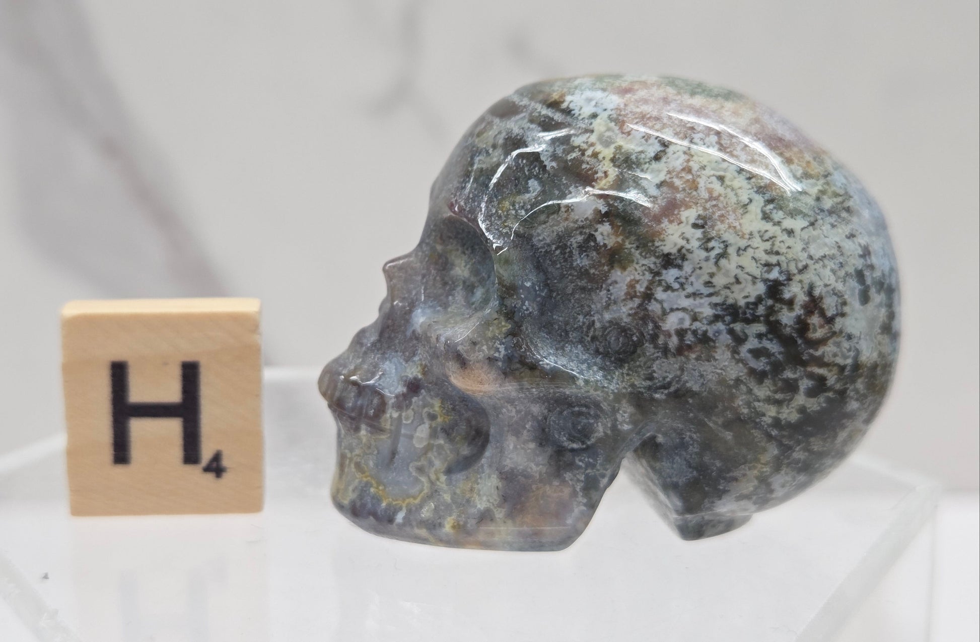 Moss Agate skull carving on a white background
