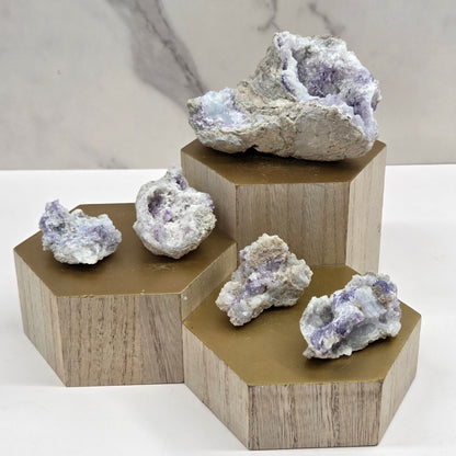 Collection of mineral geodes with white and purple coloring on a wood stand against a white background