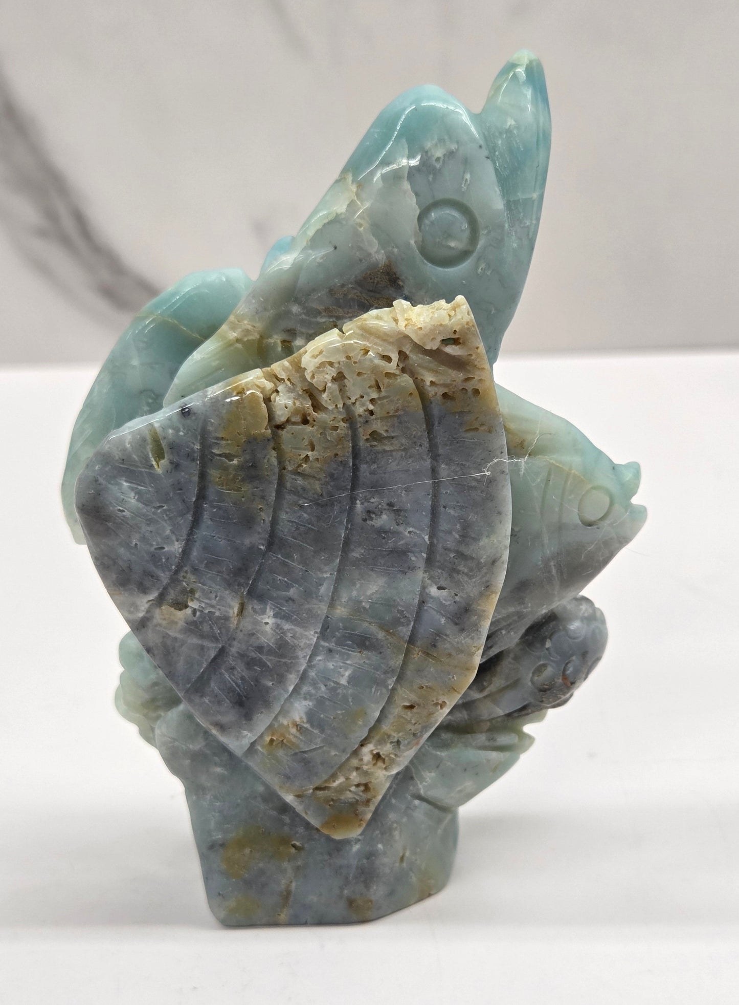 Caribbean Calcite carving of dolphins, fish and jellyfish on a white background