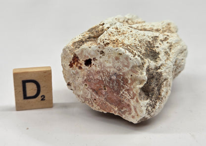 Petrified wood stump on a white background