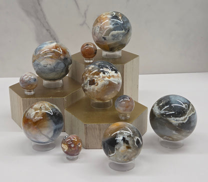 Petrified wood spheres with multiple colors on a wood stand against a white background