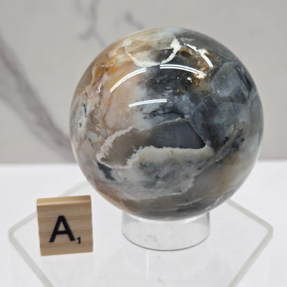 Petrified wood sphere with multiple colors on an acrylic stand against a white background