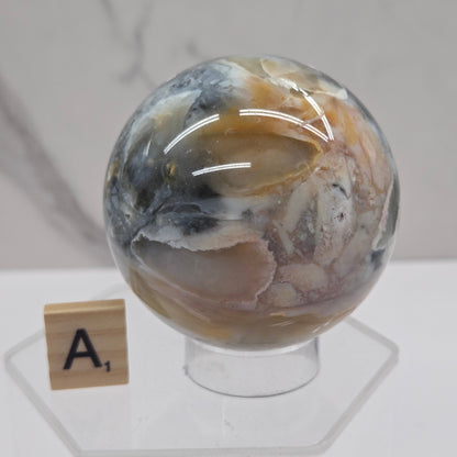 Petrified wood sphere with multiple colors on an acrylic stand against a white background