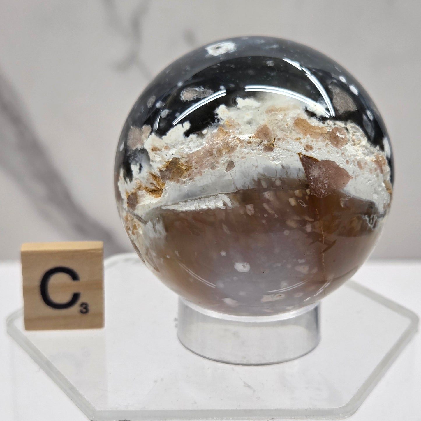 Petrified wood sphere with multiple colors on an acrylic stand against a white background