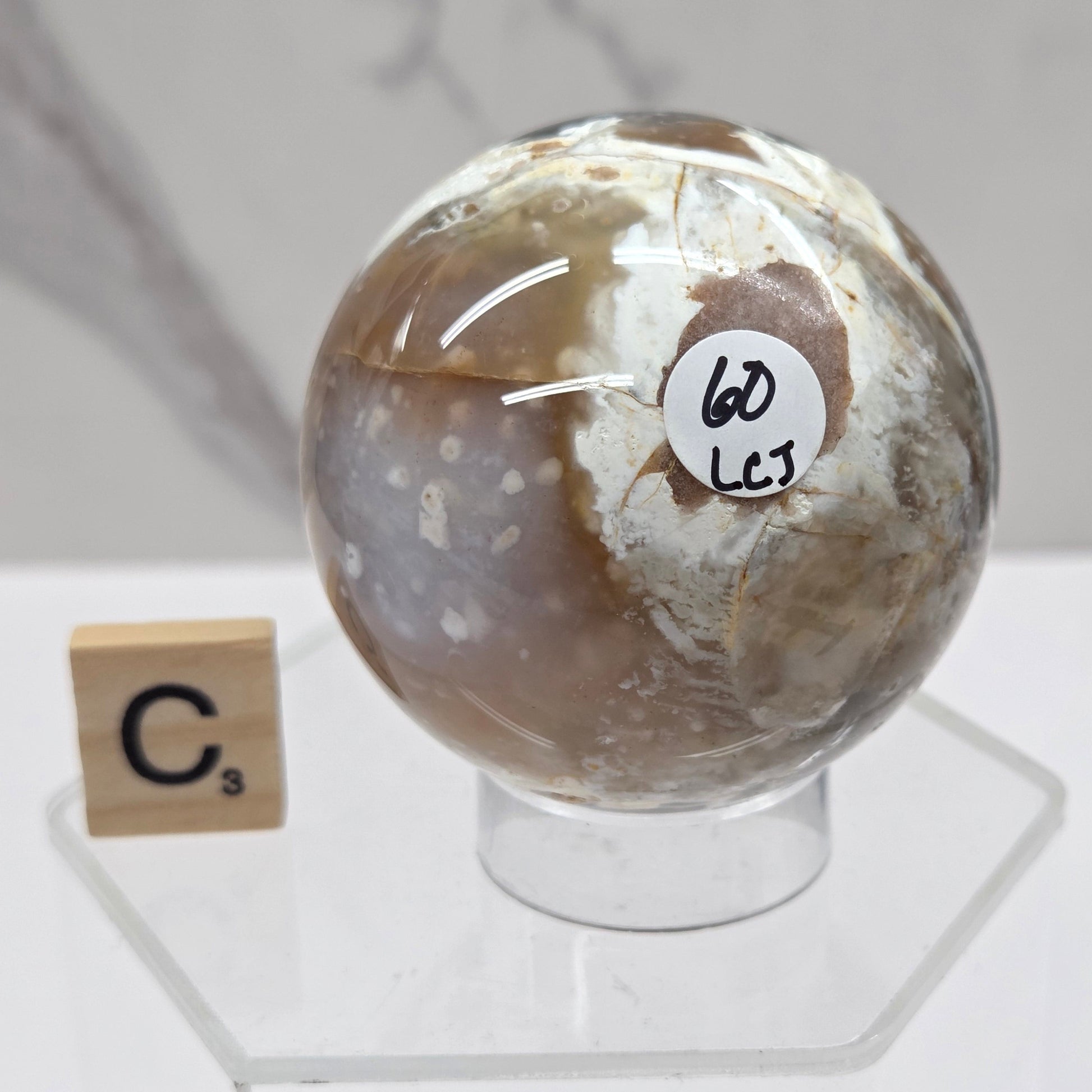 Petrified wood sphere with multiple colors on an acrylic stand against a white background