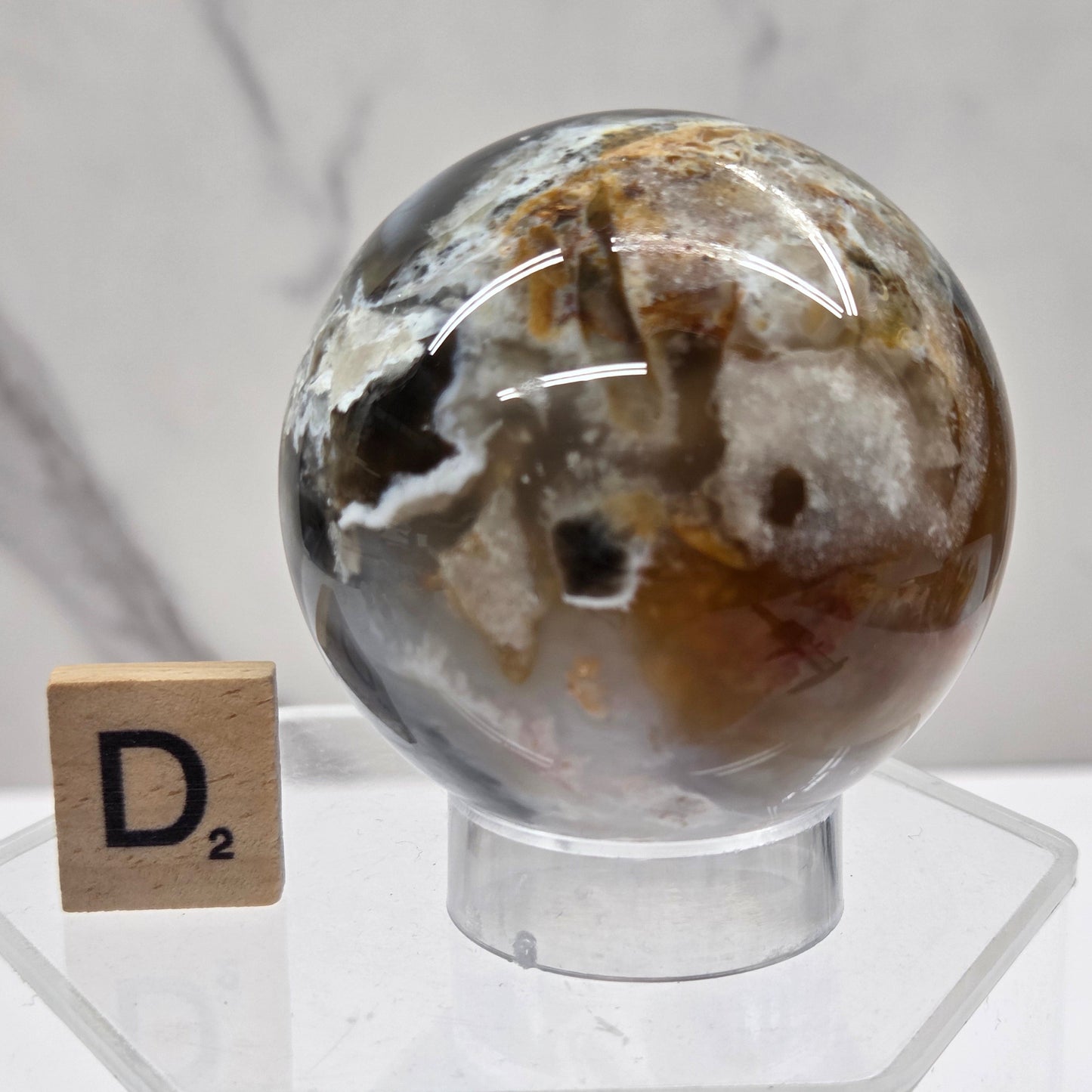 Petrified wood sphere with multiple colors on an acrylic stand against a white background