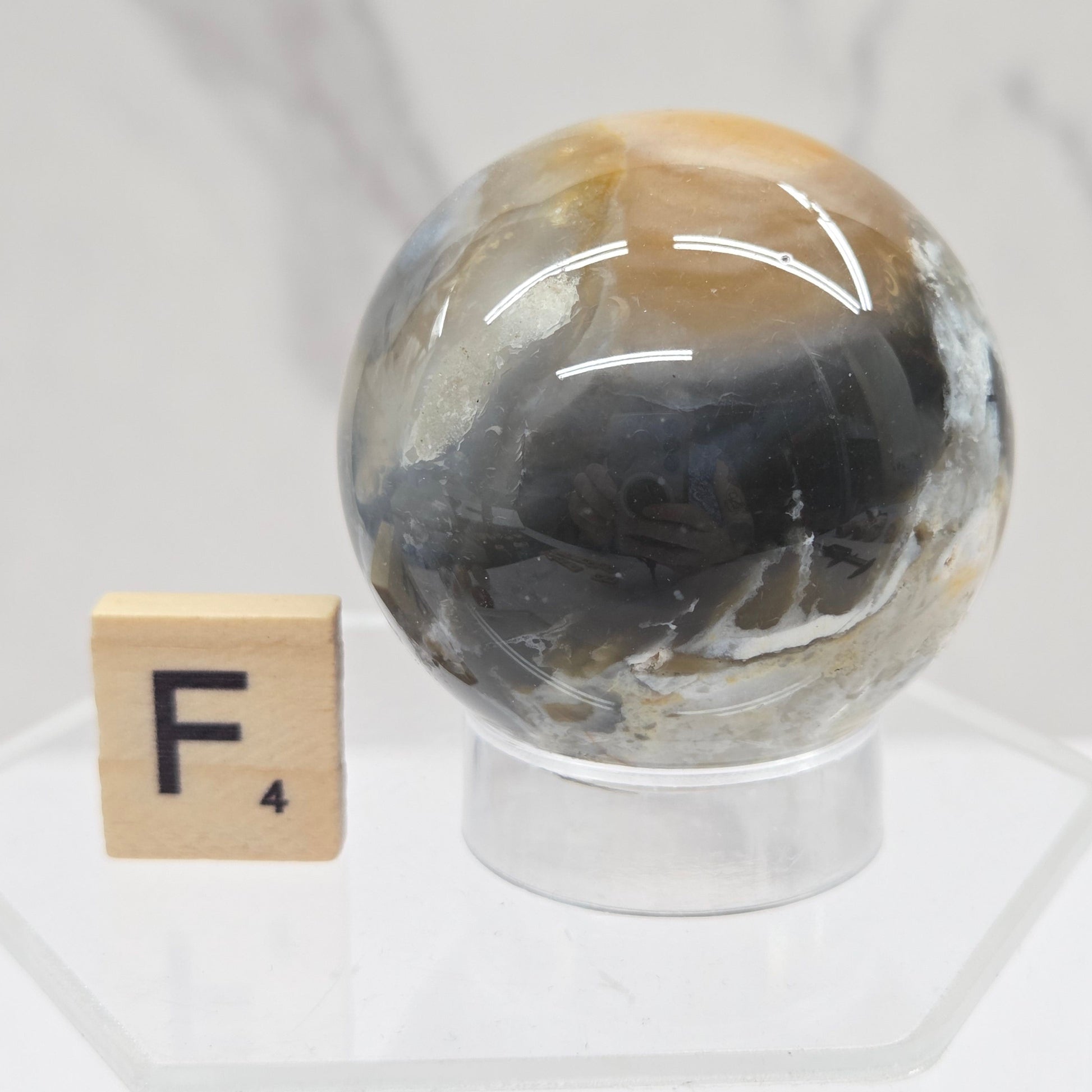 Petrified wood sphere with multiple colors on an acrylic stand against a white background