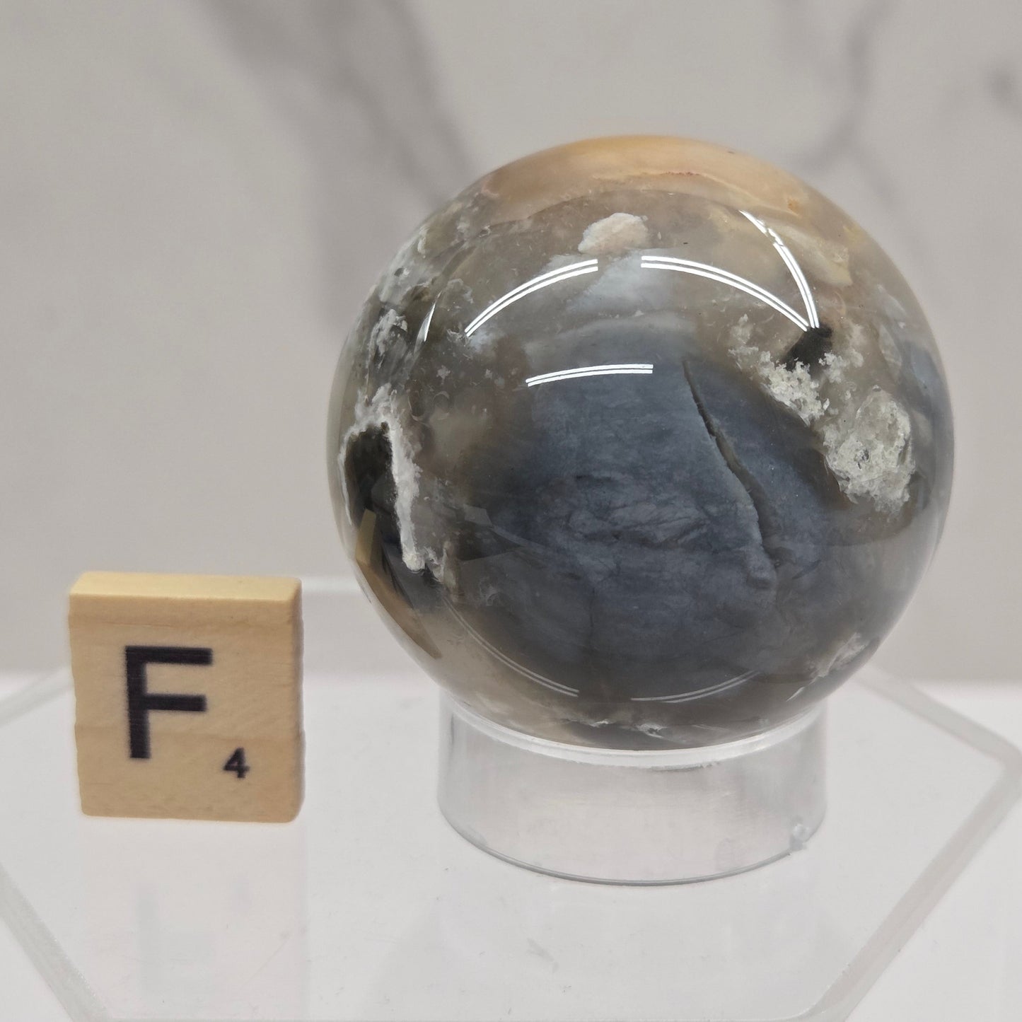 Petrified wood sphere with multiple colors on an acrylic stand against a white background