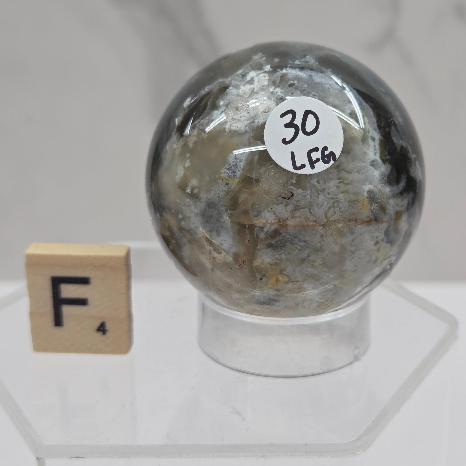 Petrified wood sphere with multiple colors on an acrylic stand against a white background