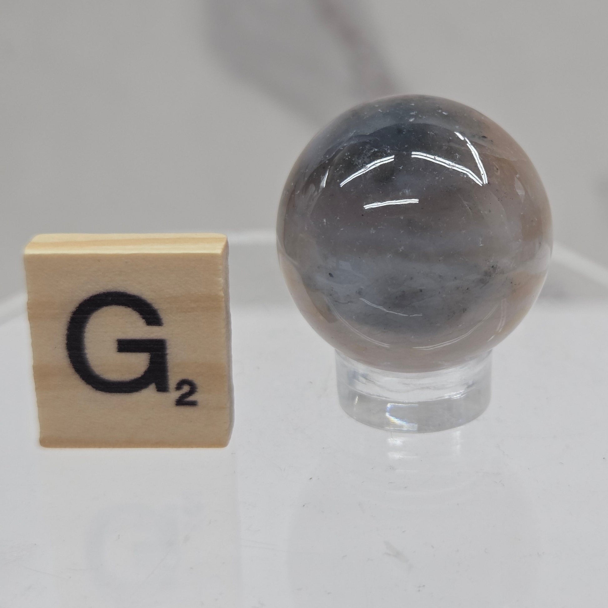 Petrified wood sphere with multiple colors on an acrylic stand against a white background