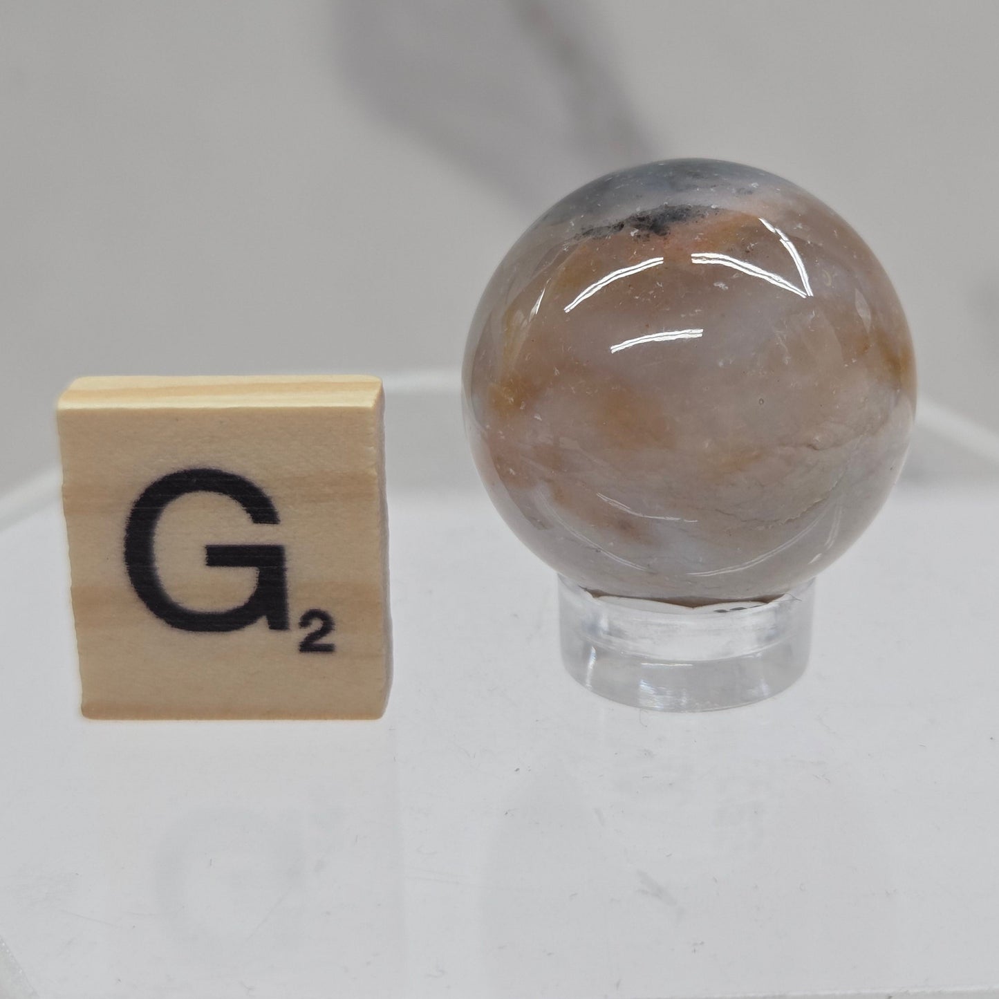 Petrified wood sphere with multiple colors on an acrylic stand against a white background