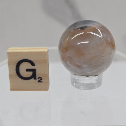 Petrified wood sphere with multiple colors on an acrylic stand against a white background