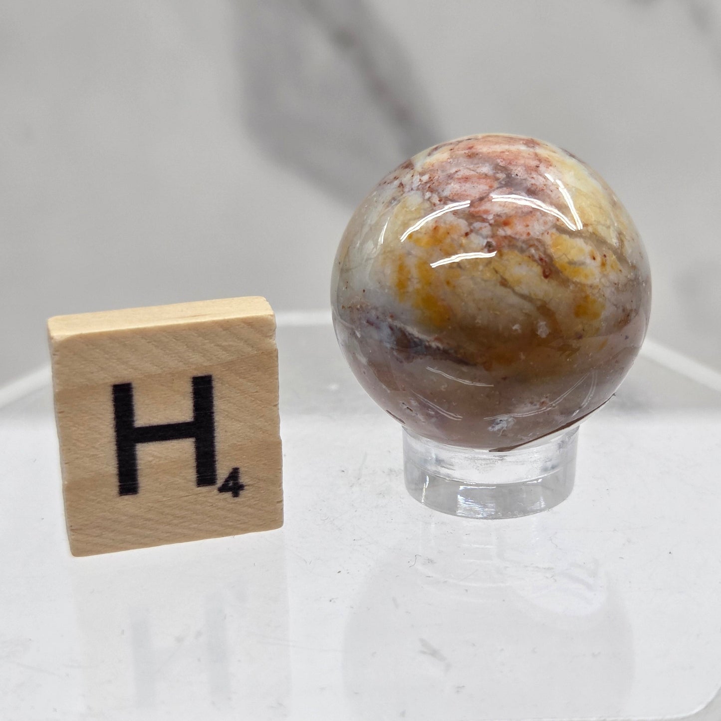 Petrified wood sphere with multiple colors on an acrylic stand against a white background