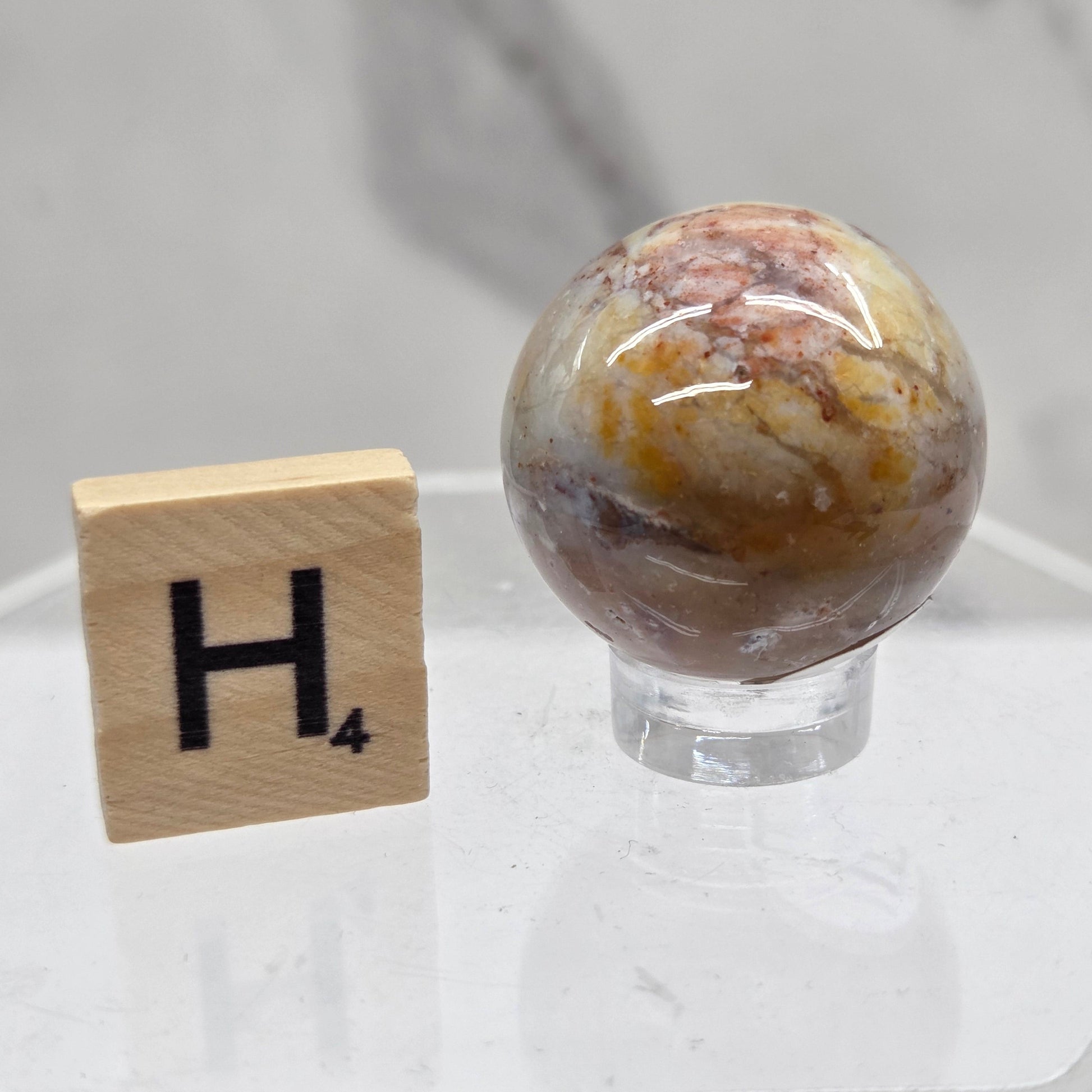 Petrified wood sphere with multiple colors on an acrylic stand against a white background