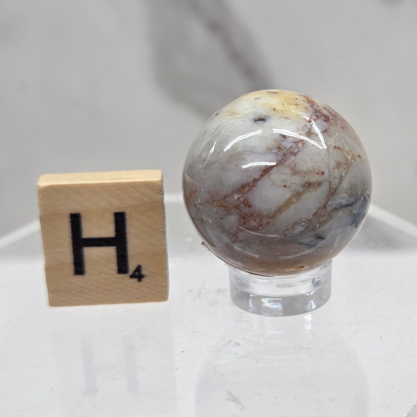 Petrified wood sphere with multiple colors on an acrylic stand against a white background