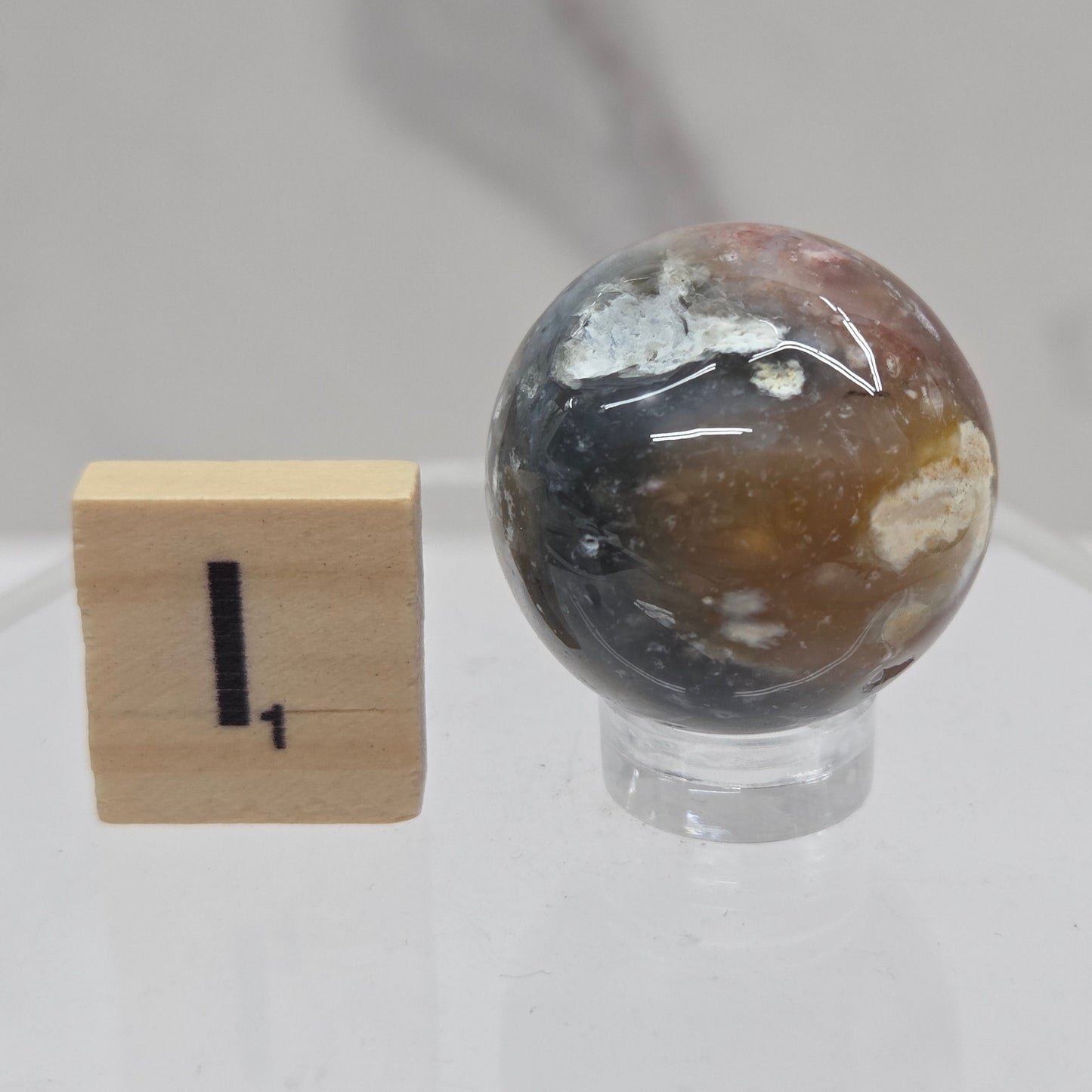 Petrified wood sphere with multiple colors on an acrylic stand against a white background