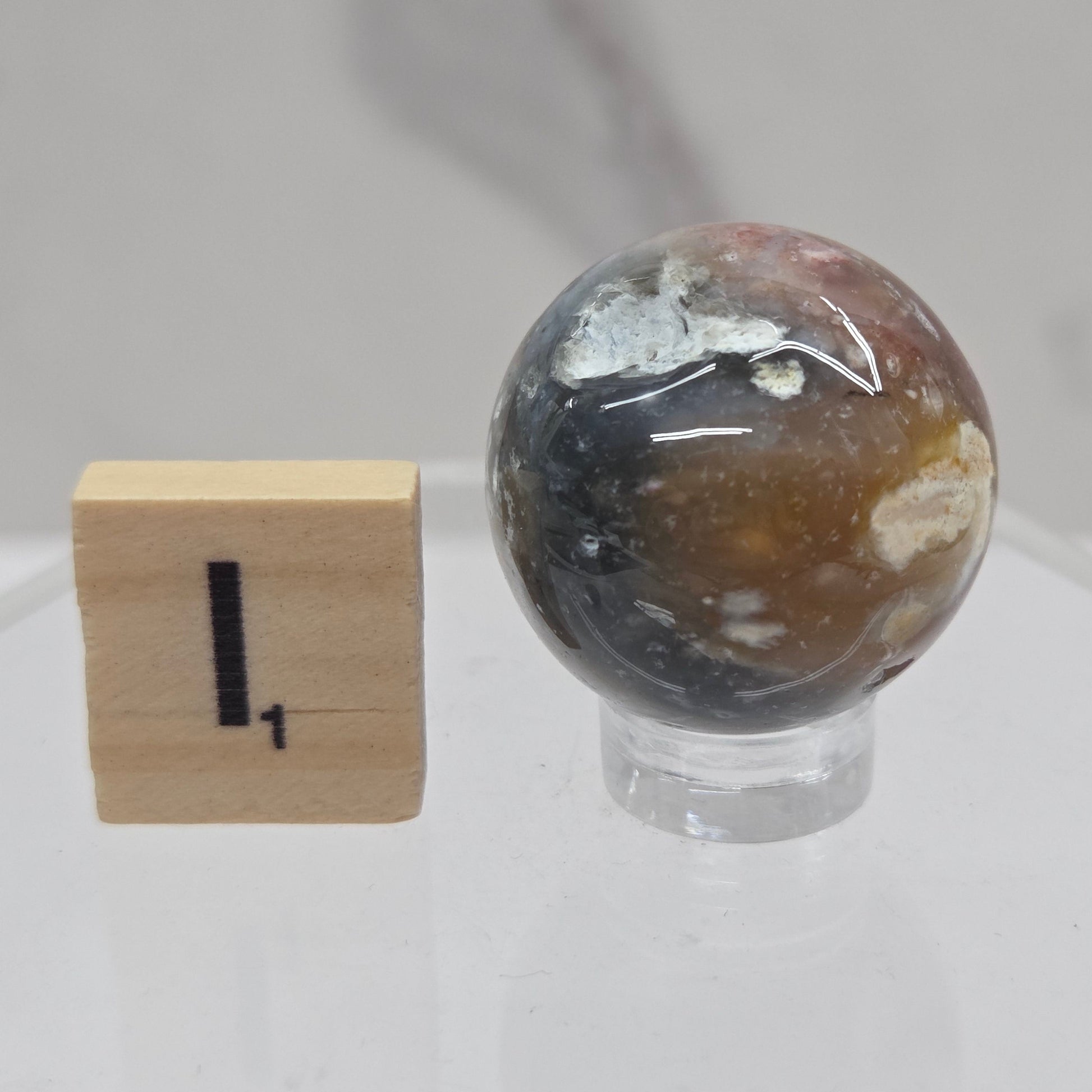 Petrified wood sphere with multiple colors on an acrylic stand against a white background