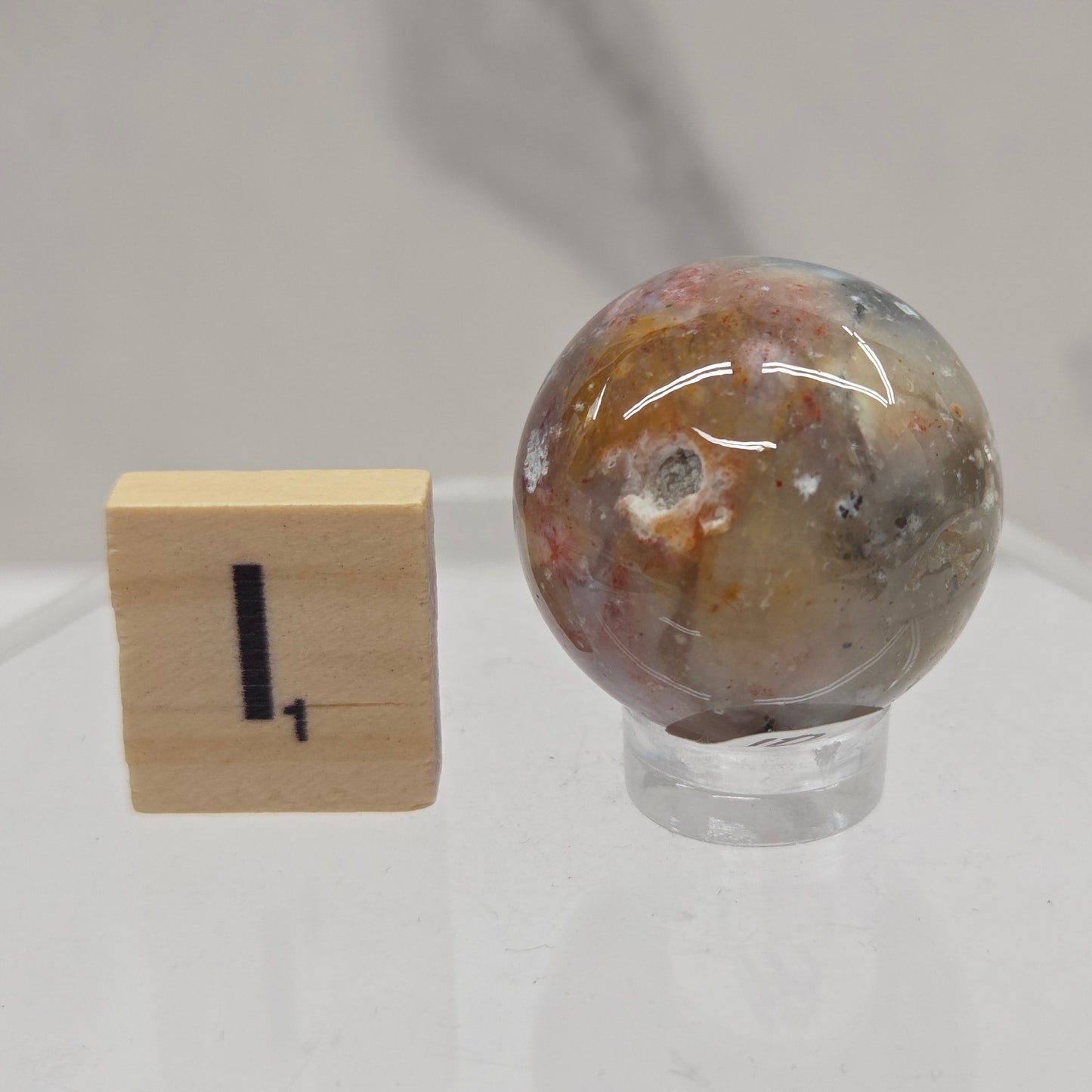 Petrified wood sphere with multiple colors on an acrylic stand against a white background