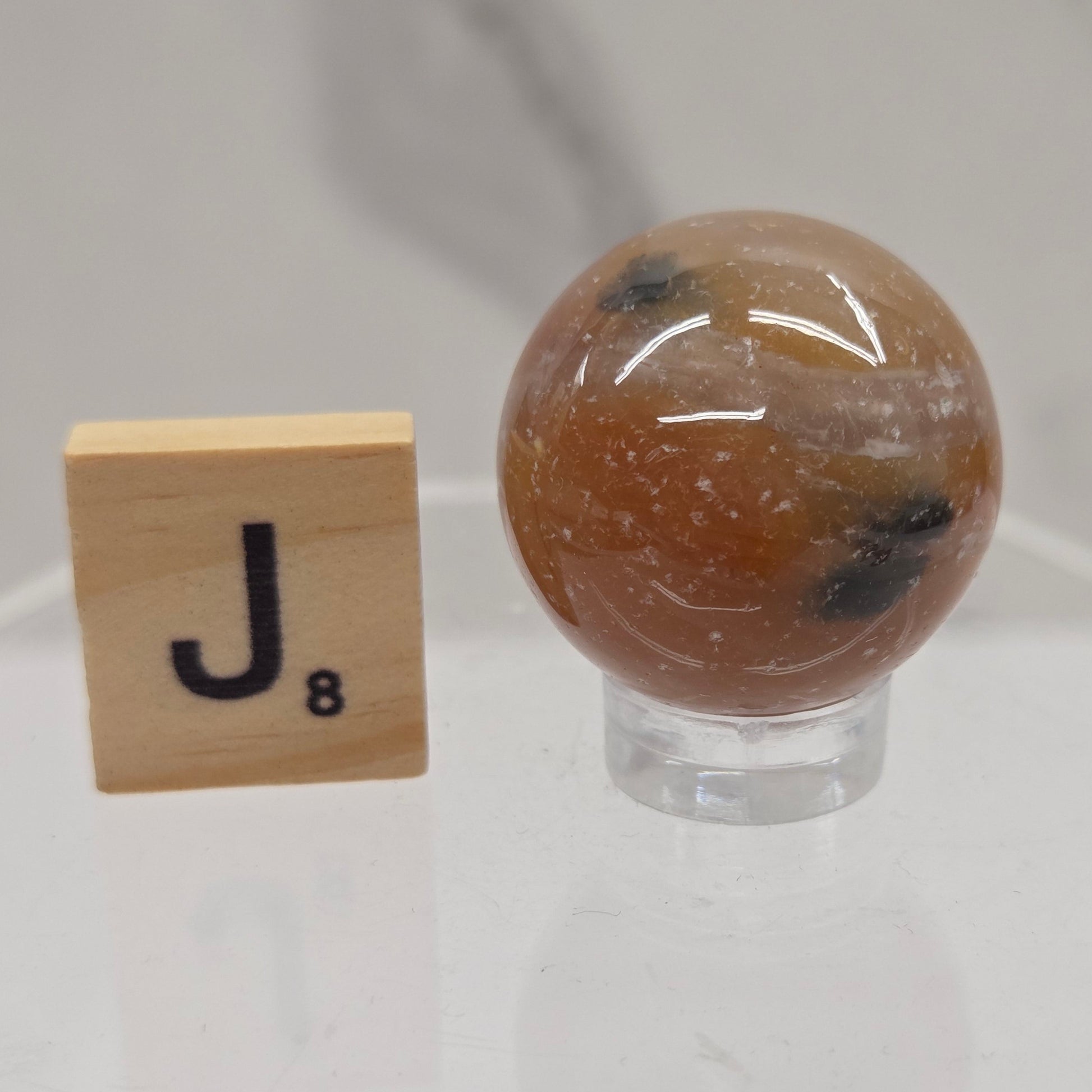 Petrified wood sphere with multiple colors on an acrylic stand against a white background
