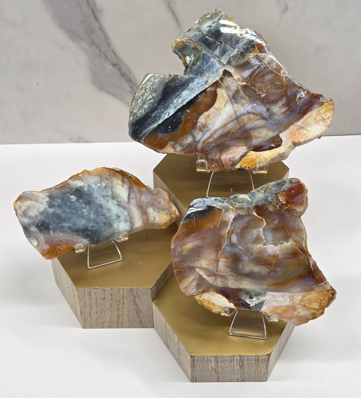 Petrified wood slabs with blue, red and white coloring on a wood stand against a white background
