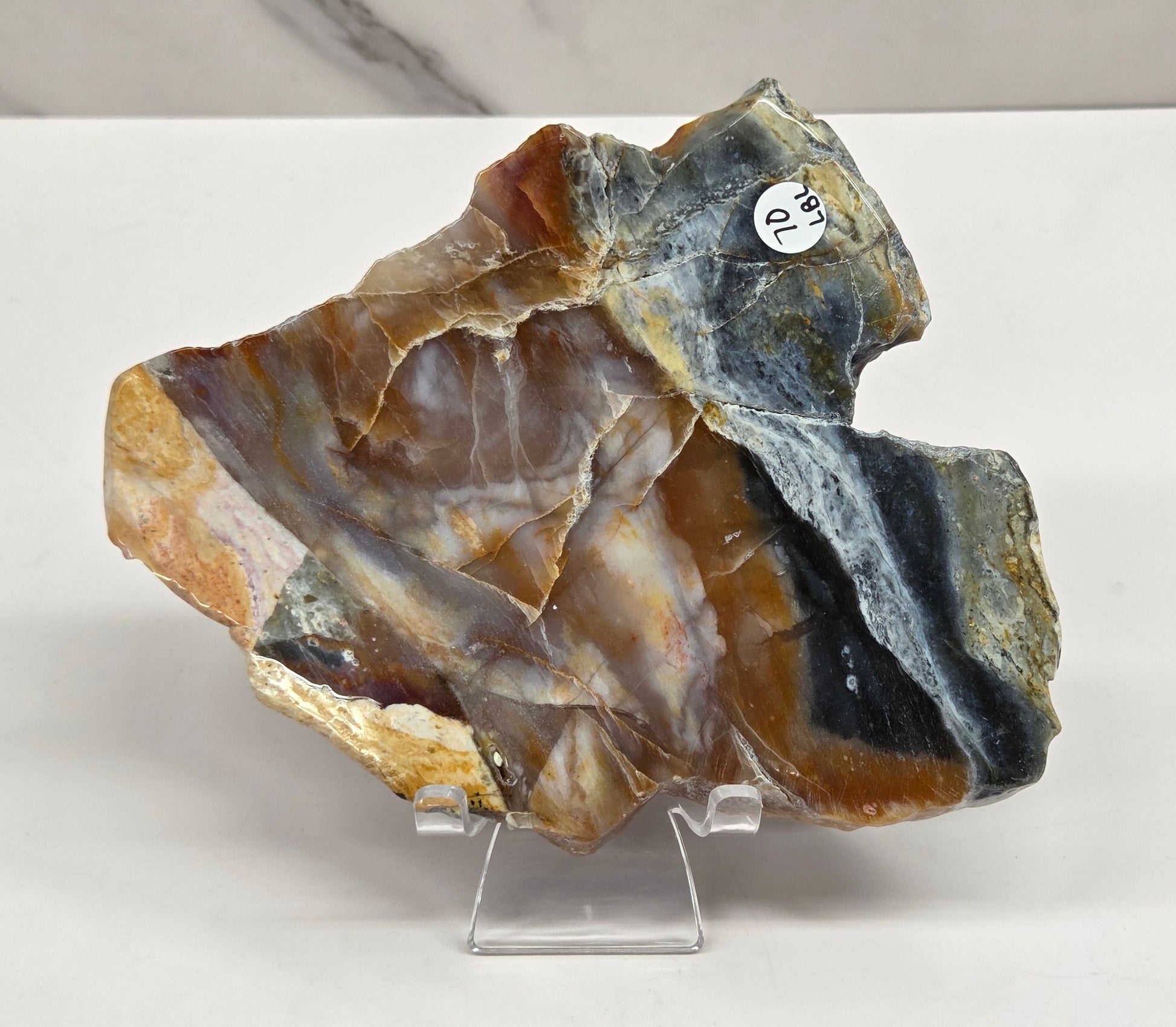 Petrified wood slab with blue, red and white coloring on an acrylic stand against a white background
