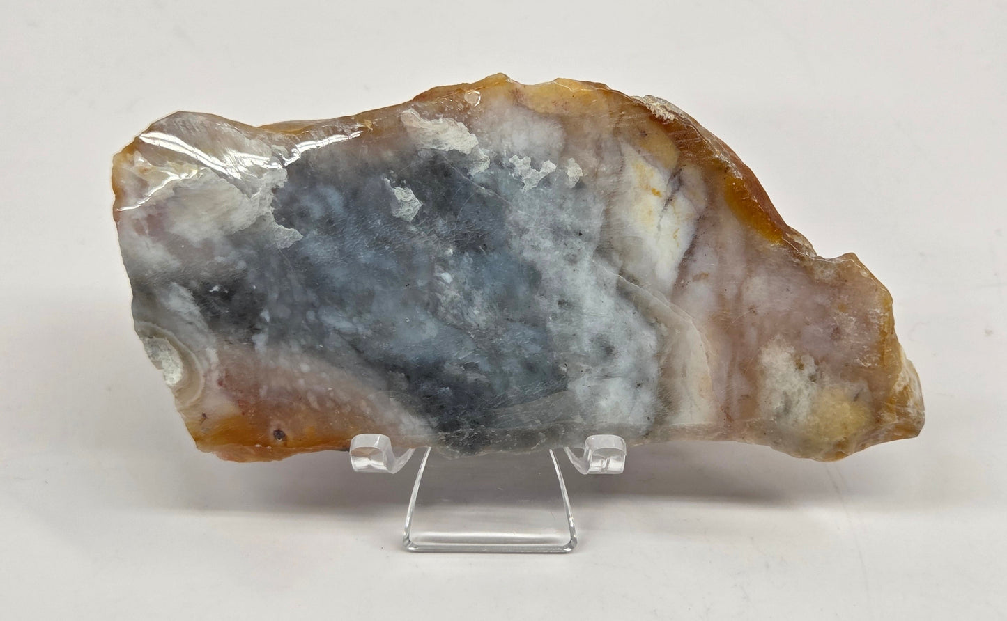 Petrified wood slab with blue, red and white coloring on an acrylic stand against a white background