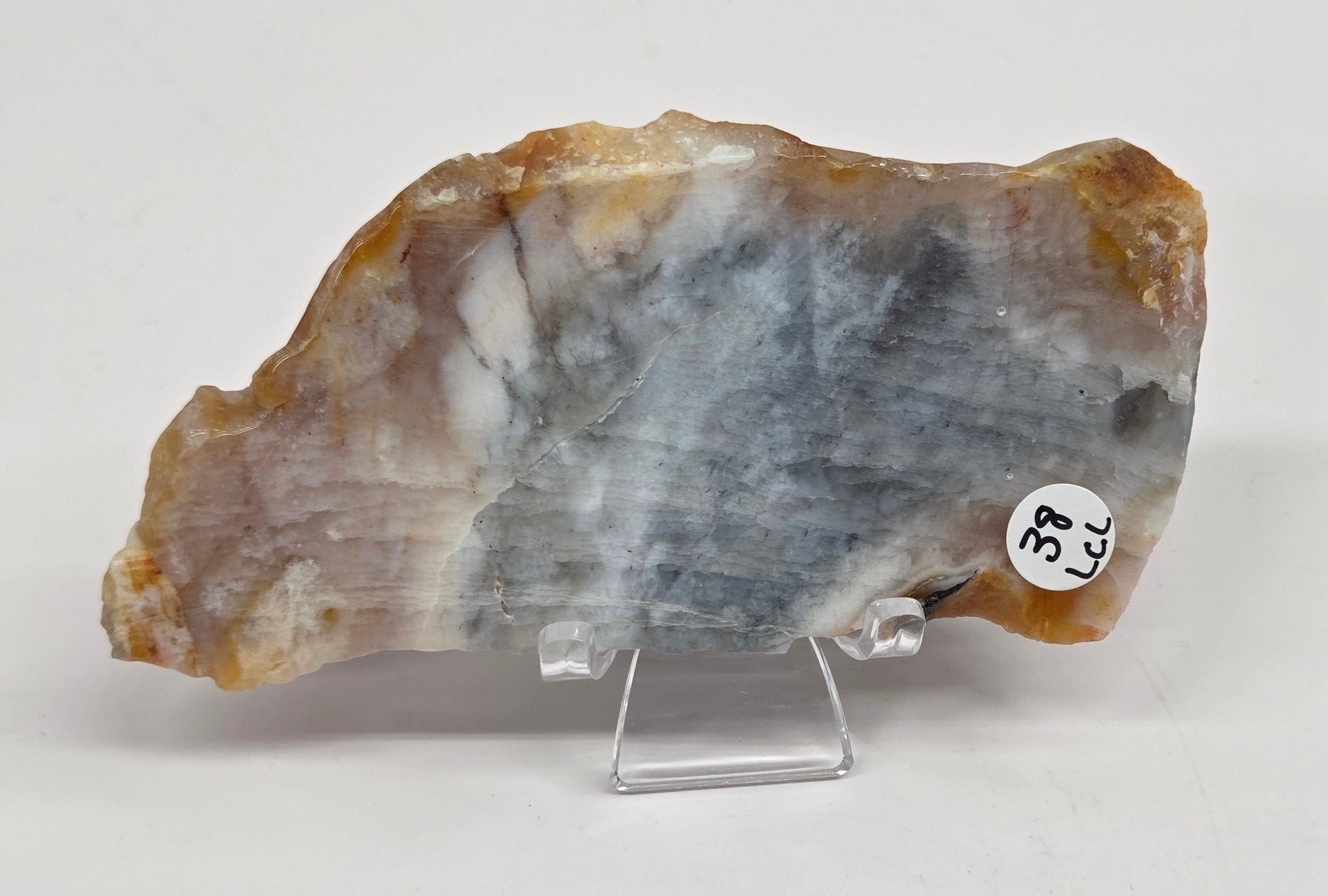 Petrified wood slab with blue, red and white coloring on an acrylic stand against a white background