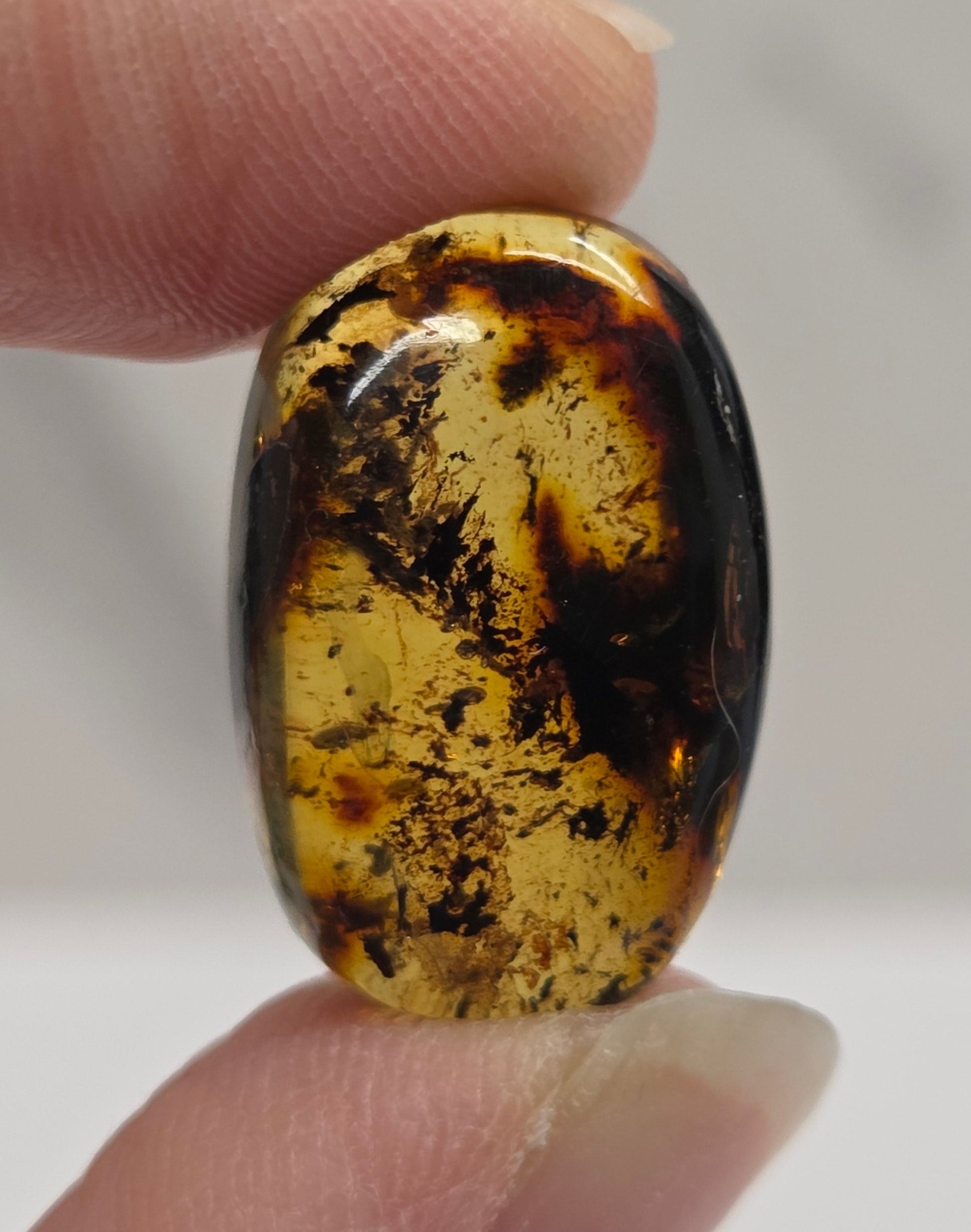 A polished oval gemstone with a natural gold and dark brown pattern, held between two fingers against a light gray background.