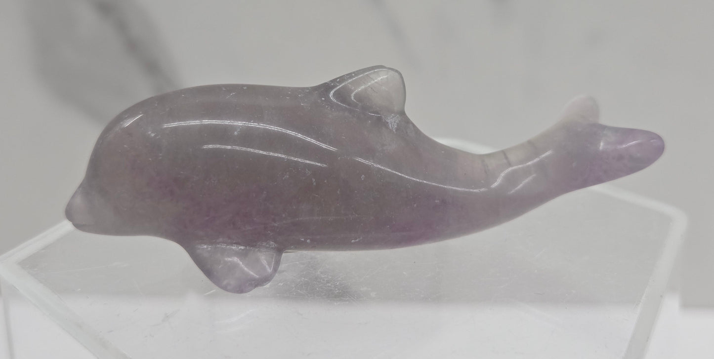 A polished carved dolphin figurine made of lavender-purple fluorite, resting on a clear acrylic display stand against a light gray marble-patterned background.
