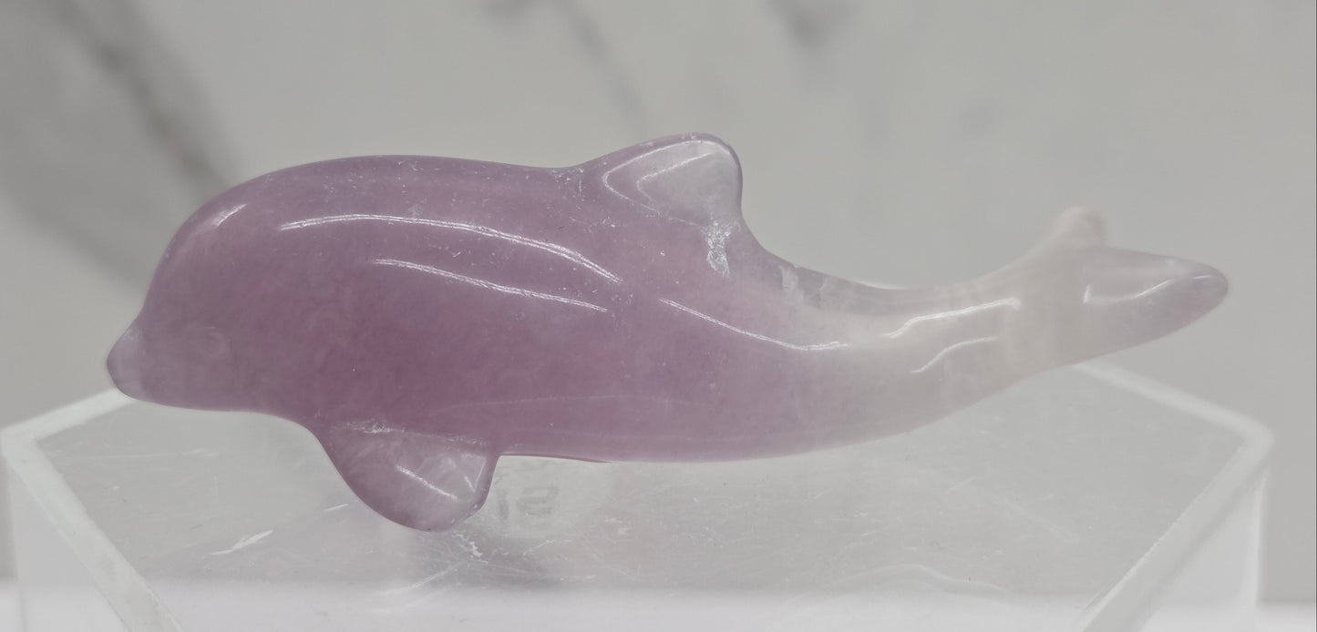 A polished pinkish-purple fluorite dolphin figurine displayed on a clear acrylic stand against a light gray marble-patterned background.