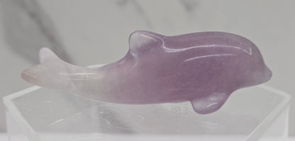 A polished purple fluorite dolphin figurine resting on a clear acrylic display stand against a light gray marble-patterned background.