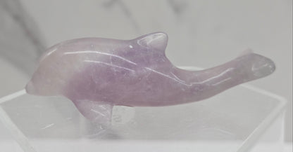 A polished purple fluorite dolphin figurine displayed on a clear acrylic stand against a light gray marble-patterned background.
