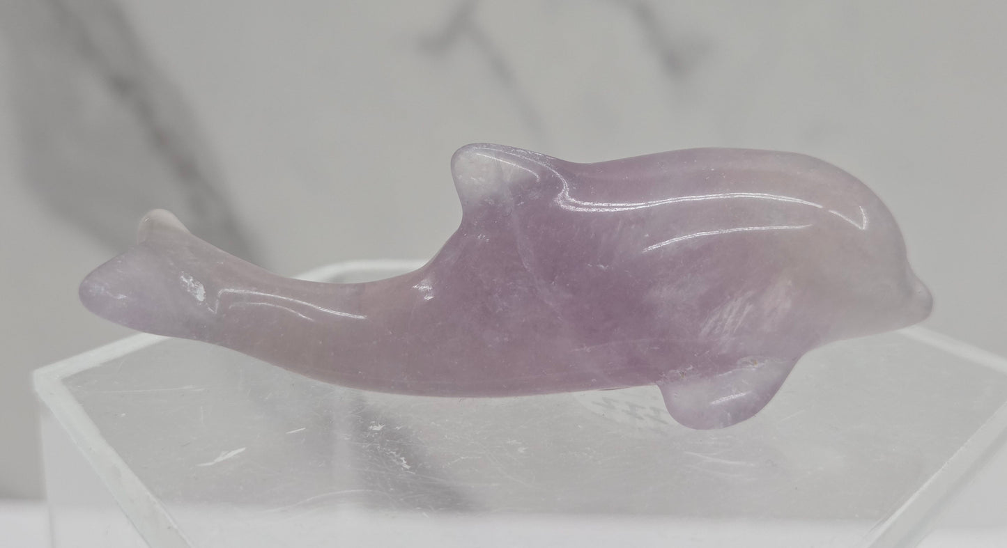 A polished purple fluorite dolphin figurine displayed on a clear acrylic stand against a light gray marble-patterned background.