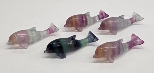 Five small polished dolphin figurines made from striped fluorite, displayed on a plain white surface. The dolphins feature natural banding in shades of purple, pink, green, and gray.