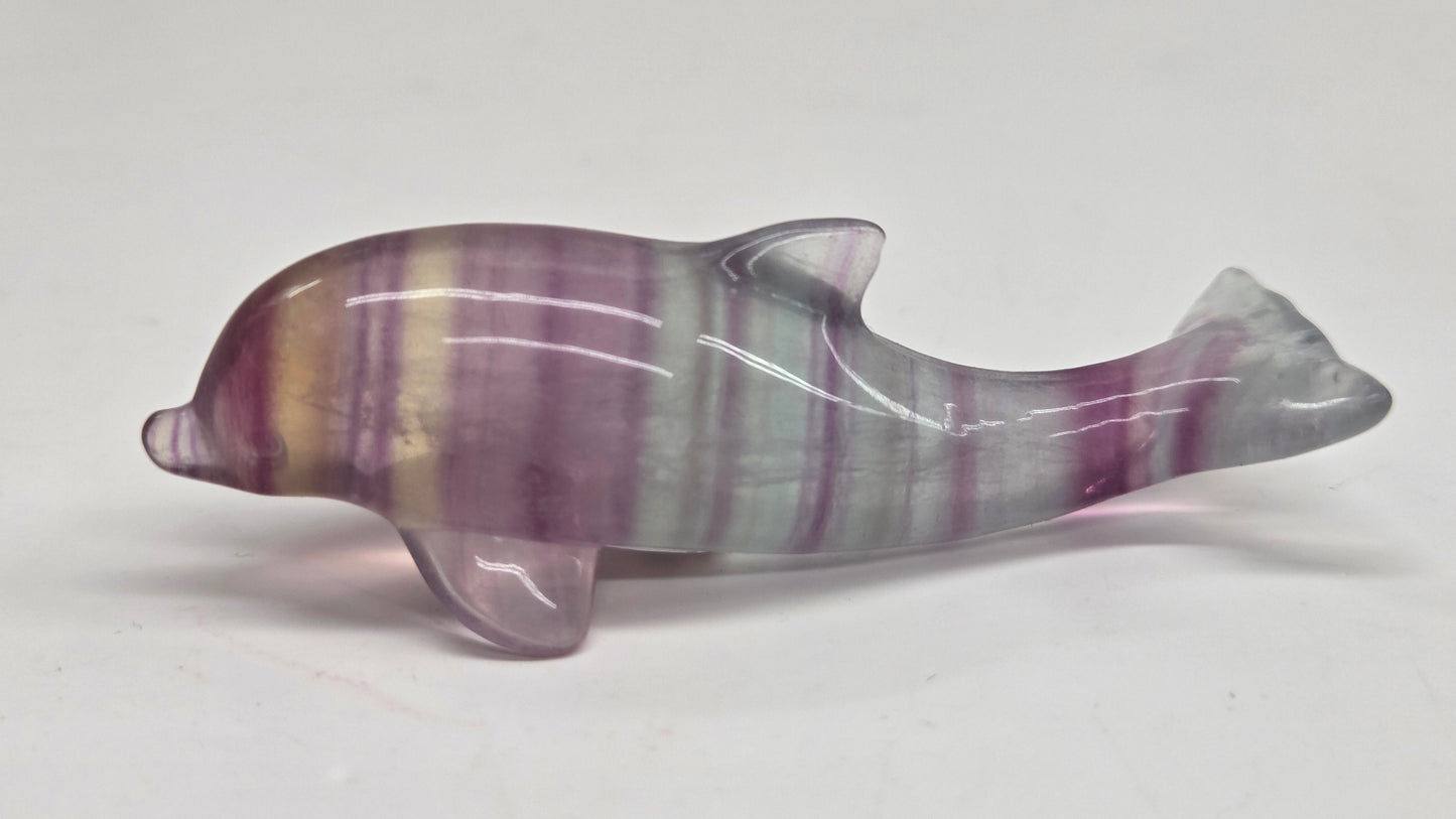 A polished dolphin figurine carved from striped purple, lavender, and green fluorite, shown on a plain light gray background.