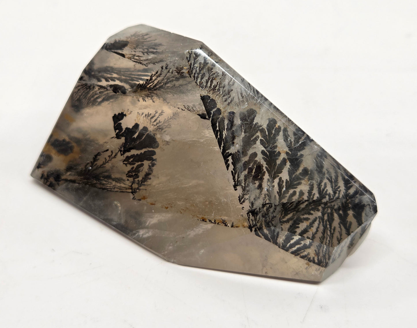 A faceted crystal or stone specimen with a natural marbled pattern of black, gray, and beige, photographed on a plain white background.