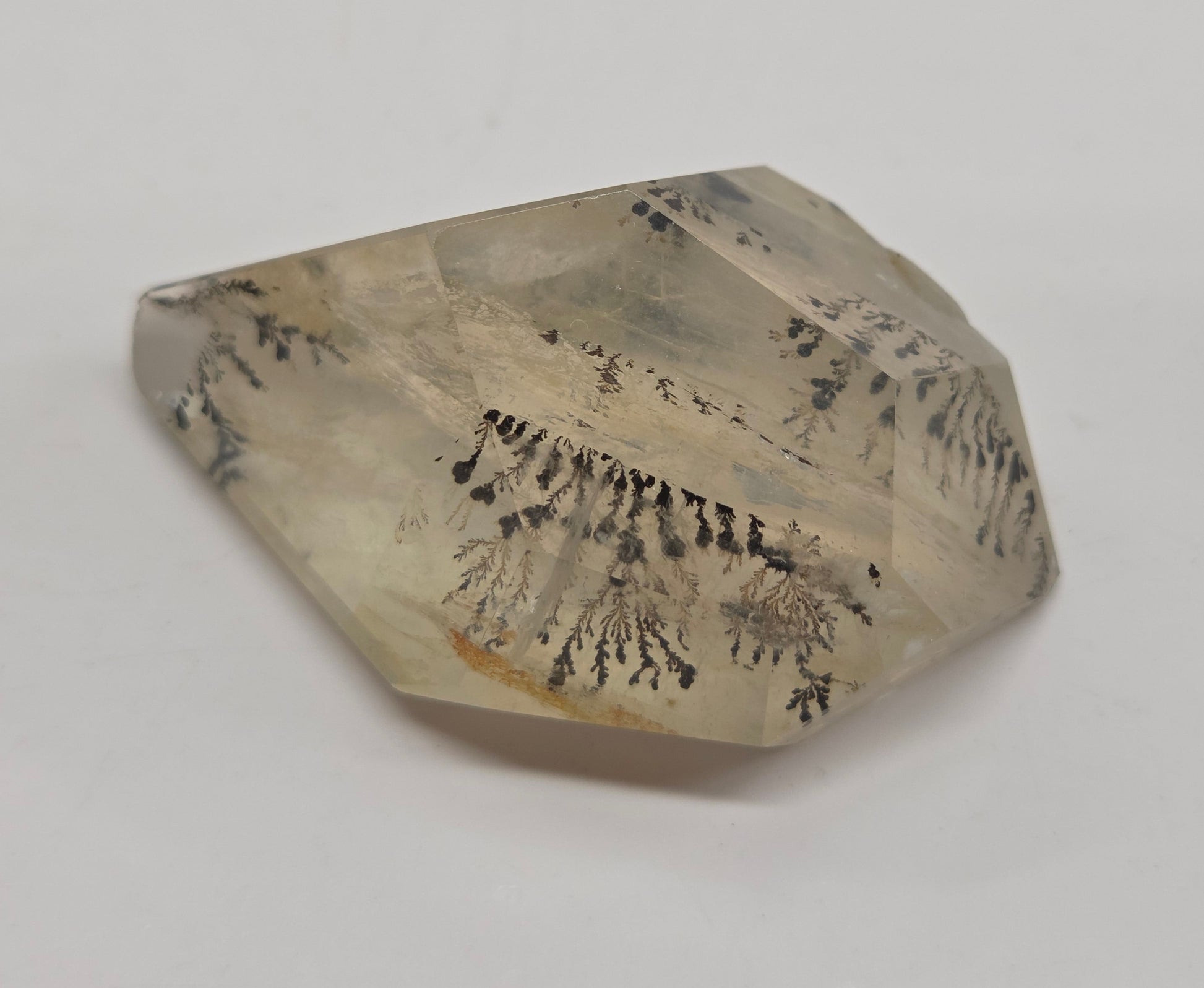 A faceted clear crystal or gemstone with dark dendritic inclusions, photographed on a plain light gray background.