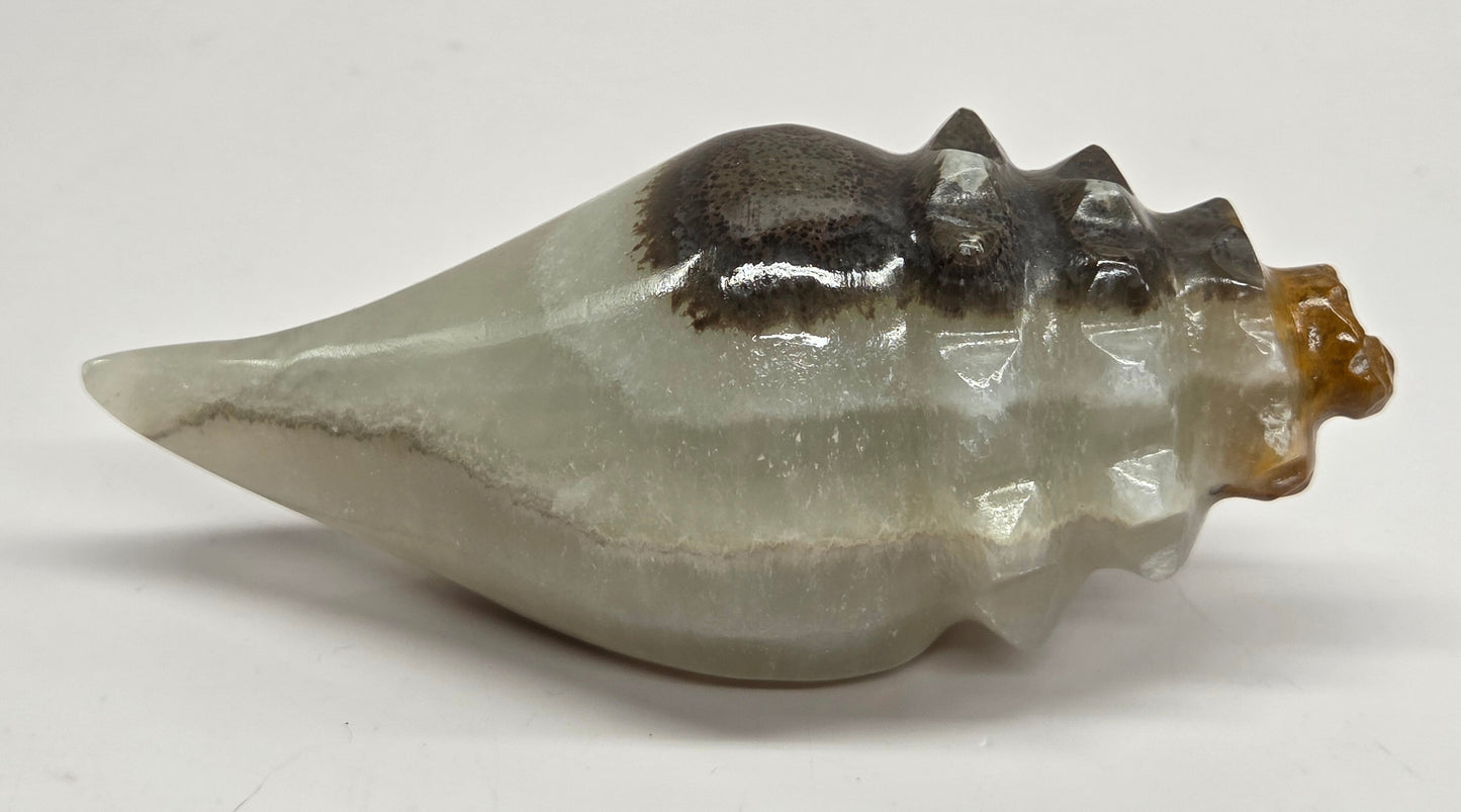 A polished shell-shaped decorative object with a smooth, glossy finish, featuring a gradient from pale gray-green to dark charcoal with a small amber-brown accent at the top right, displayed on a plain light surface.