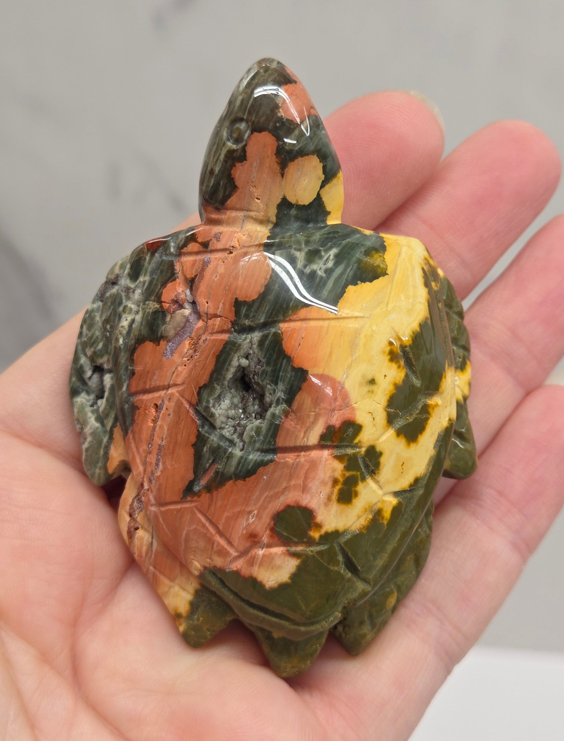 A hand holding a polished multicolored stone carving shaped like a turtle, showing natural marbled patterns in green, yellow, orange, and brown.
