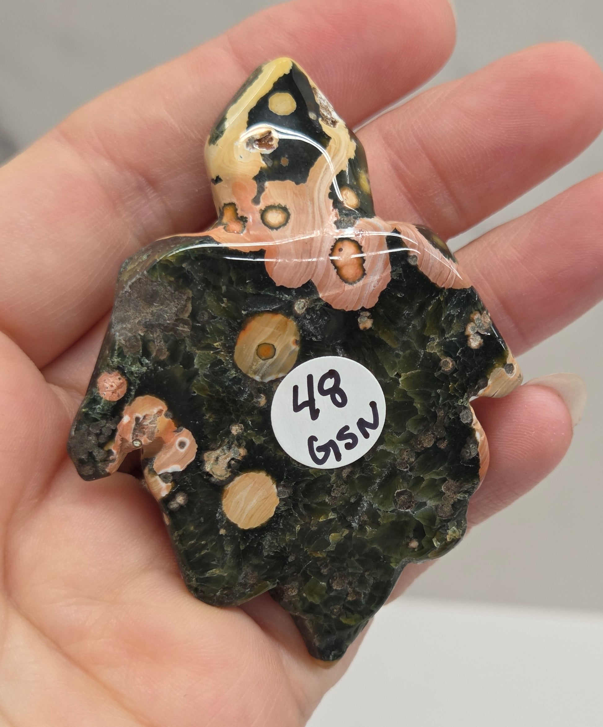 A hand holding a small polished stone specimen with a dark green and black mottled body, peach and cream inclusions, and a small white circular tag reading 'NSG 8/1/1'.