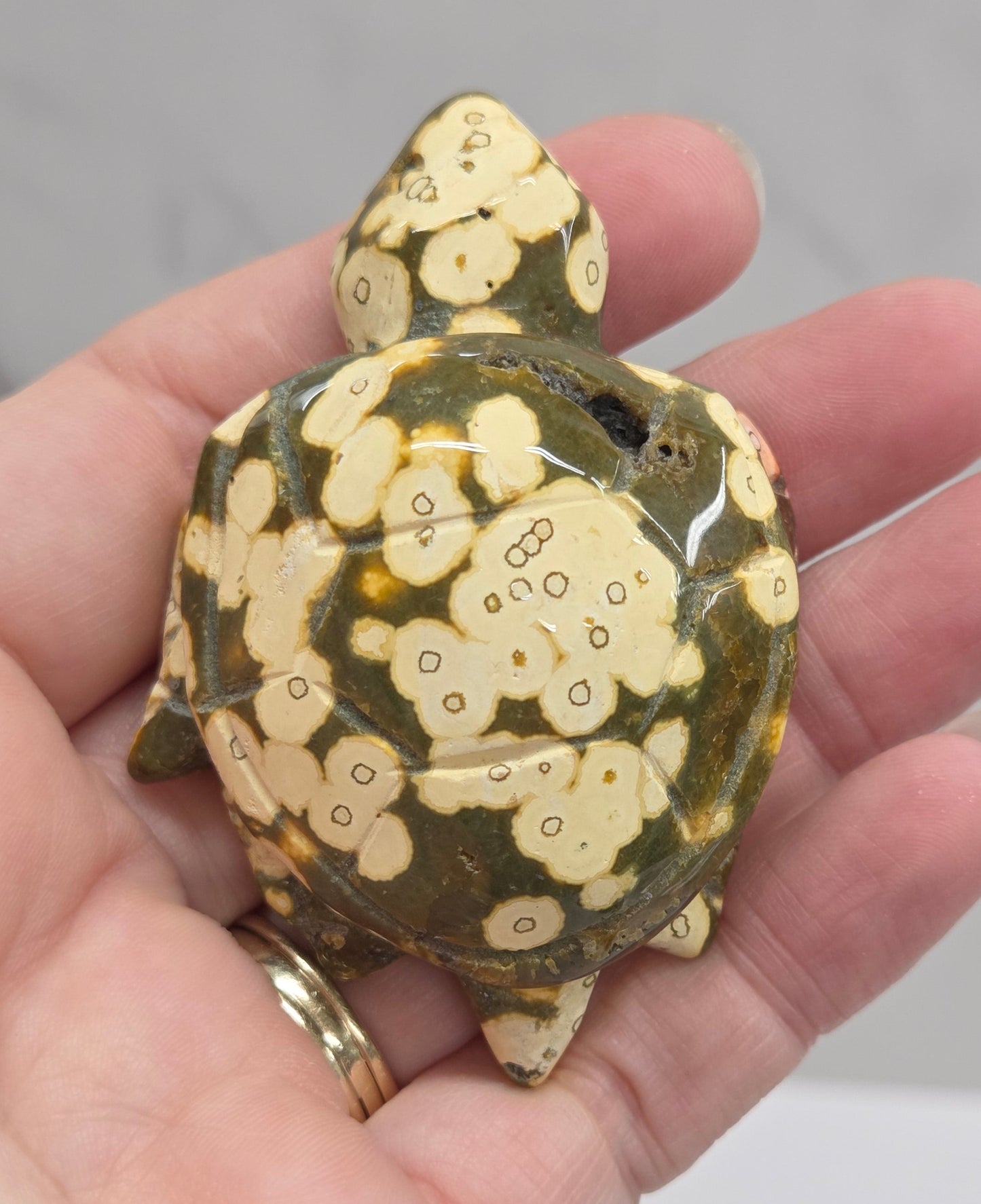 A small decorative turtle figurine with a glossy green shell and cream-colored floral pattern, held in a person's hand.