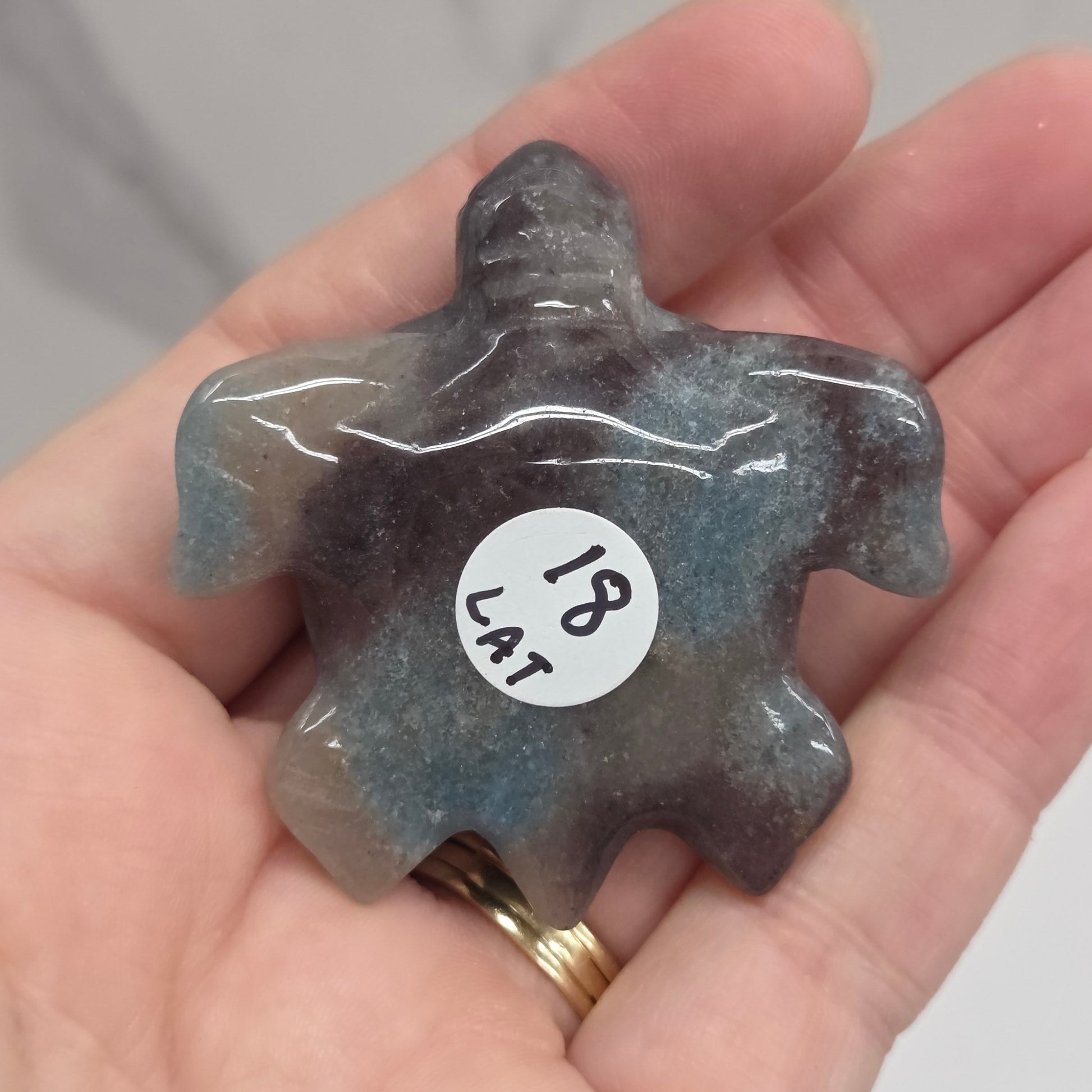 A hand holding a small carved stone figurine shaped like a turtle or sea creature. The stone is dark gray with blue-green iridescent variation.