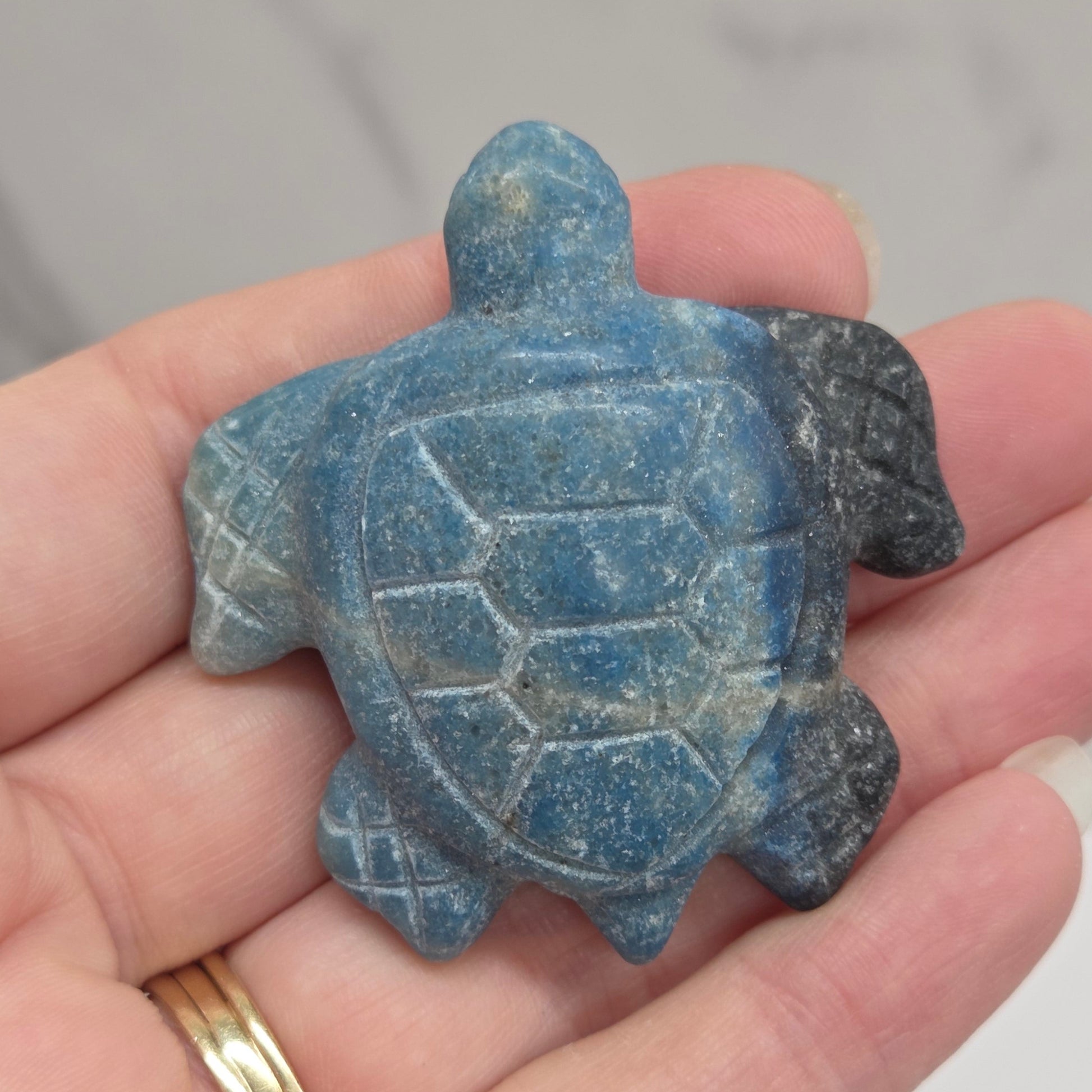 A carved blue stone turtle figurine being held in a person's hand, with a gold ring visible on the finger. The background is a soft-focus light gray marble-like surface.