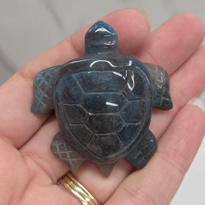 A small carved turtle figurine in polished dark blue stone, held in a person's hand. The figurine has a glossy finish and is shown against a light gray marble background.