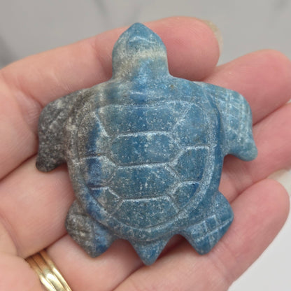 A small carved blue stone turtle figurine resting on a person's open hand, with a gold ring visible on the finger. The background is a soft-focus light gray and white surface.